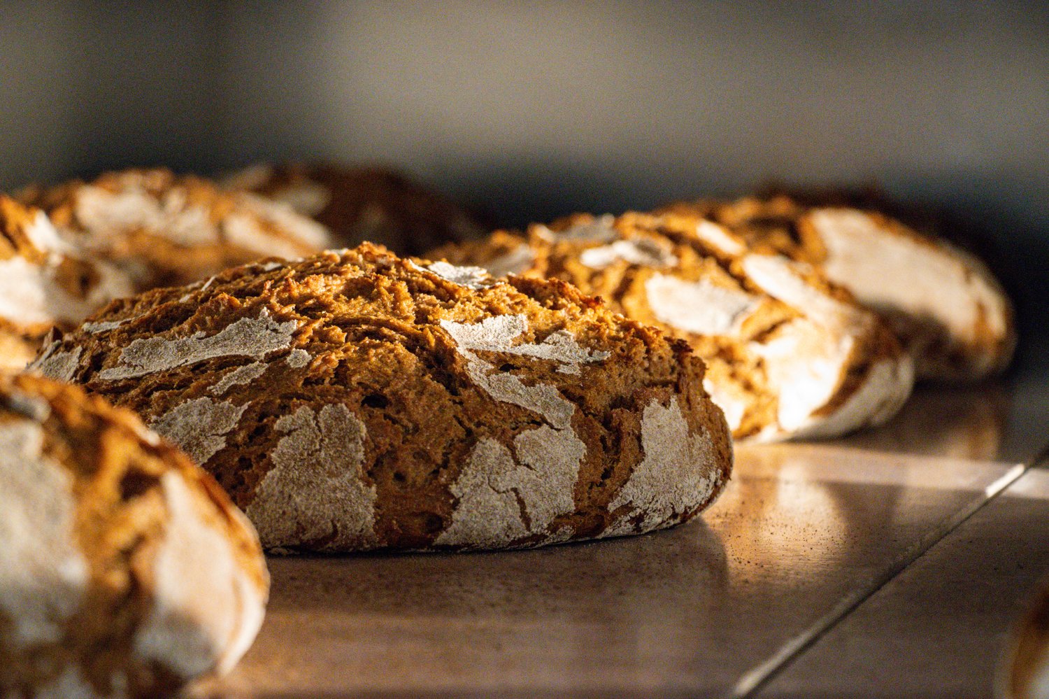 Blick auf Roggensauerteigbrote im Backofen der Brotkumpels.